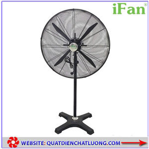 Quạt đứng Ifan NS-65