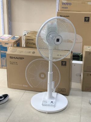 Quạt cây Sharp PJ-L3AS