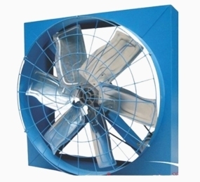 Quạt thông gió nhà xưởng IFan 10C