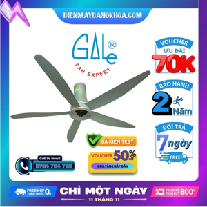 Quạt trần 5 cánh Gale CF-60GDC