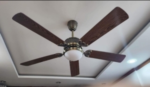 Quạt trần 5 cánh gỗ Ceiling fan 56YY-19234