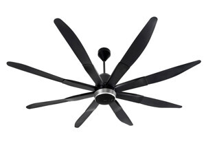 Quạt trần Panasonic 8 cánh F-80ZBR