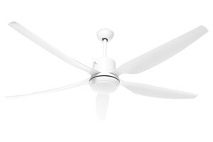 Quạt trần AC 5 cánh ACF03D665