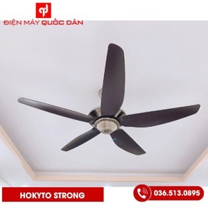 Quạt trần Airfusion Akamani Strong