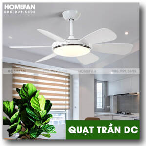 Quạt trần đèn 6 cánh HL-FAN682