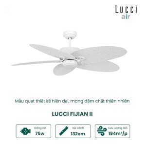 Quạt trần đèn 5 cánh Lucci Fijian