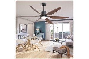 Quạt trần đèn Dakii Fan 6 cánh TN-661D