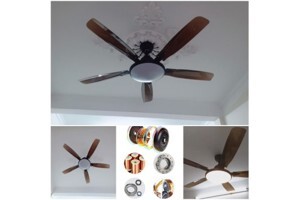 Quạt trần đèn Dakii Fan 5 cánh TN 888