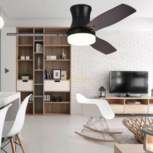 Quạt trần đèn 3 cánh QD141