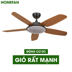 Quạt trần đèn HomeFan 5 cánh HL-Fan699V