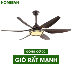 Quạt trần đèn HomeFan 6 cánh HL-Fan695