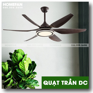 Quạt trần đèn HomeFan 6 cánh HL-Fan695