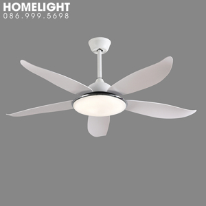 Quạt trần đèn HomeFan 5 cánh HL-Fan806