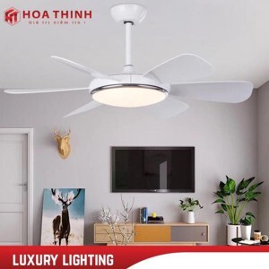 Quạt trần đèn 6 cánh HT-21