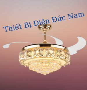 Quạt trần đèn 2 cánh ViFa-02