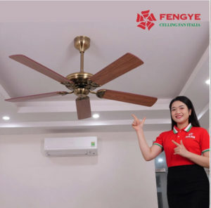 Quạt trần Fengye 5 cánh FY503