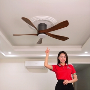 Quạt trần Fengye 5 cánh FY505