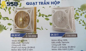 Quạt trần hộp DAEKI DK-301T