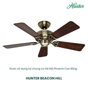 Quạt trần Hunter Beacon Hill