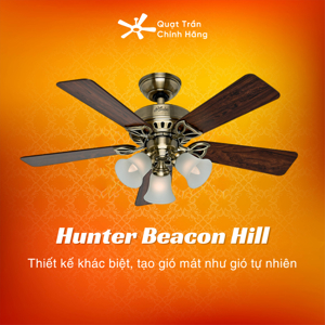 Quạt trần Hunter Beacon Hill