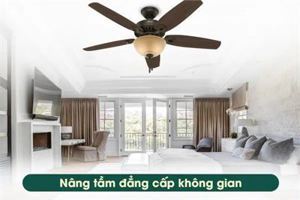 Quạt trần Hunter Builder Deluxe 5 cánh 50572