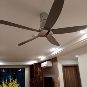 Quạt trần Panasonic 5 cánhF60TAN (F-60TAN)