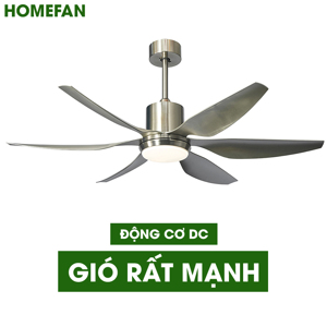 Quạt trần đèn HomeFan 6 cánh HL-Fan698