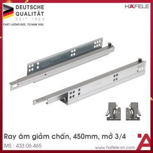 Ray âm giảm chấn Hafele 433.06.465