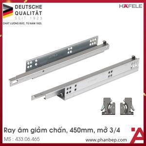 Ray âm giảm chấn Hafele 433.06.465