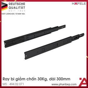 Ray Bi Giảm Chấn 300mm Hafele 494.02.071