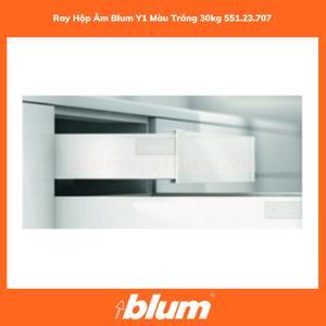 Ray hộp âm Blum Y1 màu trắng 30kg 551.23.707