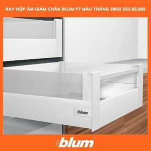 Ray hộp Blum Hafele Tamdembox Y7 553.85.885