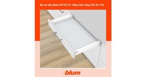 Ray hộp Blum Hafele Tamdembox X1 553.84.735