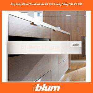 Ray hộp Blum Tandembox X1 551.23.750