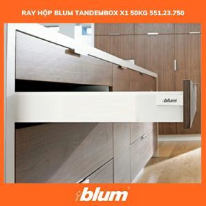 Ray hộp Blum Tandembox X1 551.23.750