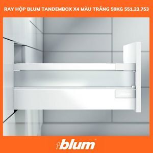 Ray hộp Blum Tandembox X4 551.23.753