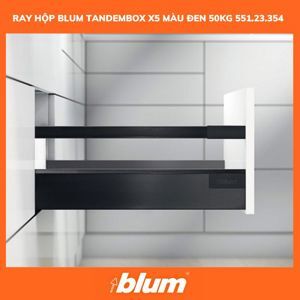 Ray hộp giảm chấn Blum X5 551.23.354