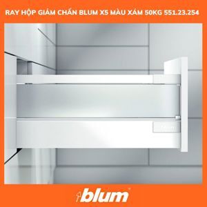 Ray hộp giảm chấn Blum X5 551.23.254