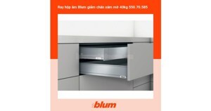 Ray hộp Legrabox Blum 550.70.585