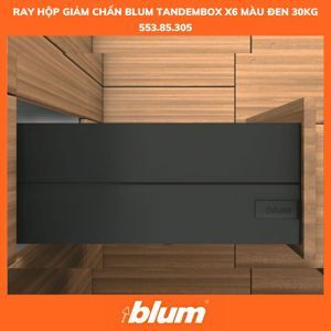 Ray hộp TANDEMBOX Intivo X6 553.85.305