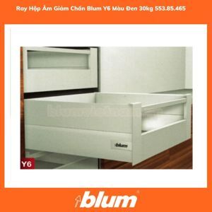 Ray Tamdembox Intivo Y6 Blum 553.85.465