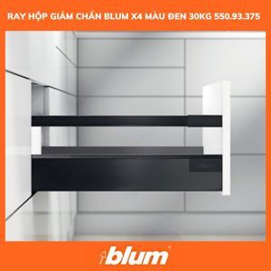 Ray TANDEMBOX Antaro X4 Blum 550.93.375