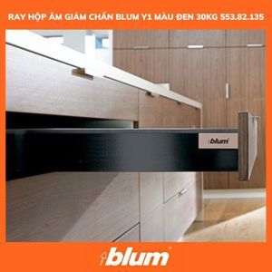 Ray TANDEMBOX Intivo Y1 Blum 553.82.135