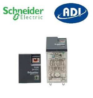 Relay Schneider 8 chân dẹp 24VDC RXM2LB2BD