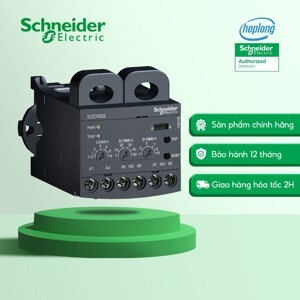 Rơ le Schneider EOCRSS-60S