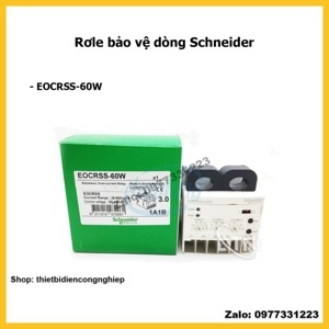 Rơ le Schneider EOCRSS-60W