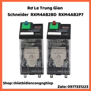 Rơ le Schneider RXM4AB2BD