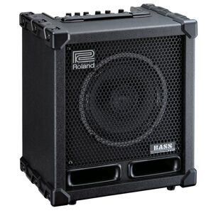 Roland Bass Cube-60XL