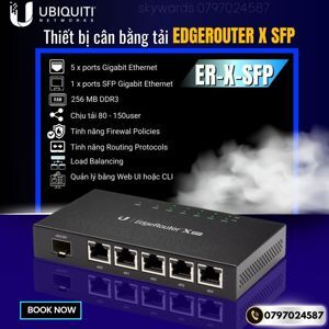 Router UniFi EdgeRouter ER-X-SFP