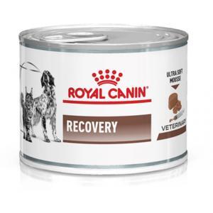 Royal Canin Recovery 195g